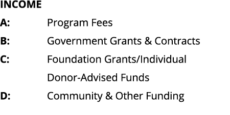 INCOME A: Program Fees B:  Government Grants & Contracts C:   Foundation Grants Individual Donor-Advised Funds D:   C   